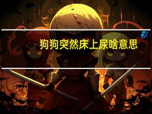 狗狗突然床上尿啥意思