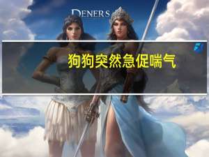 狗狗突然急促喘气