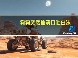 狗狗突然抽筋口吐白沫