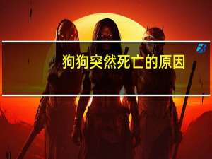 狗狗突然死亡的原因