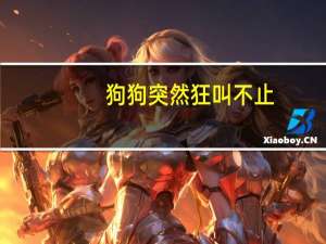 狗狗突然狂叫不止