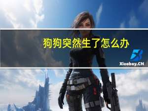 狗狗突然生了怎么办