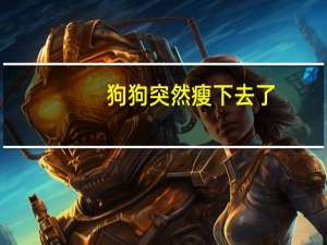 狗狗突然瘦下去了