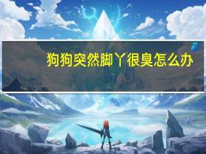 狗狗突然脚丫很臭怎么办