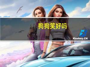 狗狗笑好吗