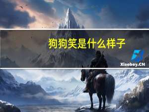 狗狗笑是什么样子