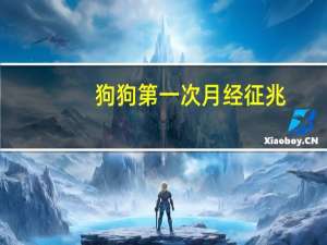 狗狗第一次月经征兆