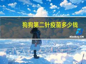 狗狗第二针疫苗多少钱