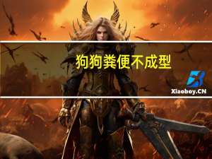 狗狗粪便不成型
