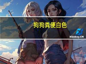 狗狗粪便白色