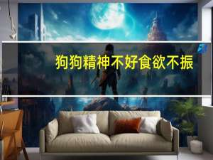 狗狗精神不好食欲不振