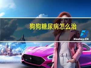 狗狗糖尿病怎么治