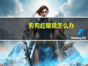狗狗红眼睛怎么办
