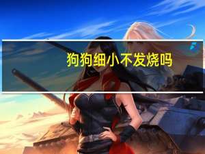 狗狗细小不发烧吗
