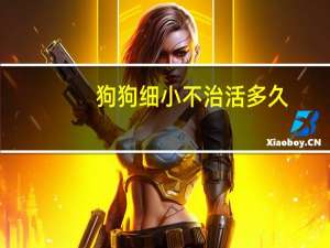 狗狗细小不治活多久