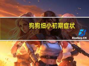 狗狗细小初期症状