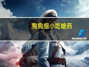 狗狗细小吃啥药