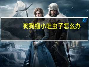 狗狗细小吐虫子怎么办