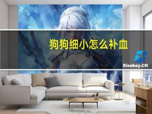狗狗细小怎么补血