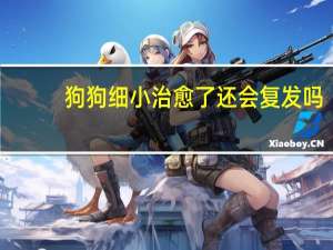 狗狗细小治愈了还会复发吗