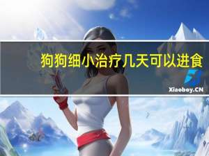 狗狗细小治疗几天可以进食