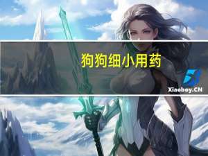 狗狗细小用药