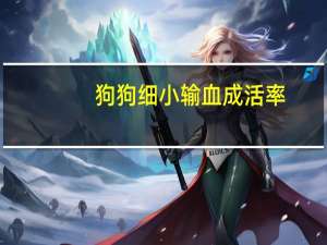 狗狗细小输血成活率
