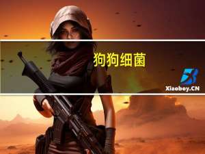 狗狗细菌