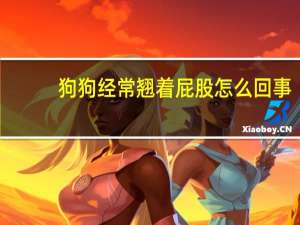 狗狗经常翘着屁股怎么回事