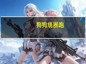 狗狗绕圈跑