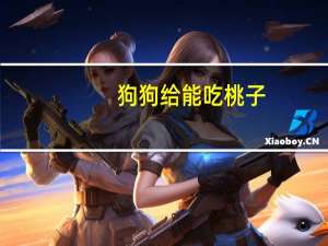 狗狗给能吃桃子