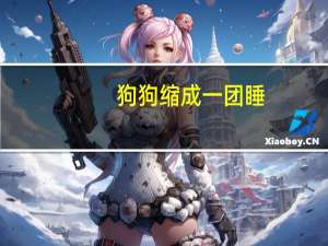 狗狗缩成一团睡