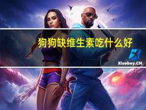 狗狗缺维生素吃什么好