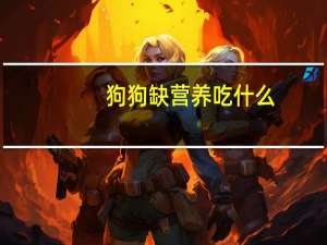 狗狗缺营养吃什么