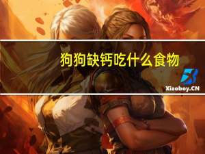 狗狗缺钙吃什么食物