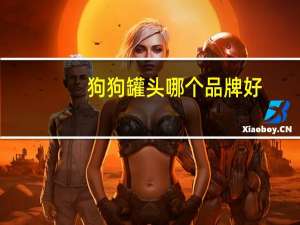 狗狗罐头哪个品牌好