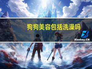 狗狗美容包括洗澡吗