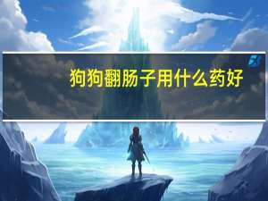 狗狗翻肠子用什么药好