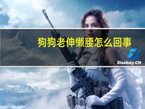 狗狗老伸懒腰怎么回事