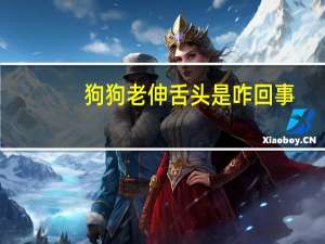 狗狗老伸舌头是咋回事
