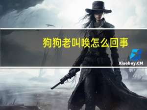 狗狗老叫唤怎么回事