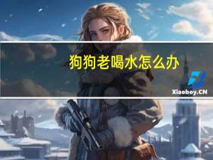 狗狗老喝水怎么办