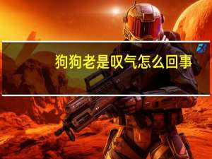 狗狗老是叹气怎么回事