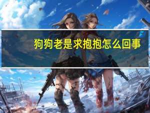 狗狗老是求抱抱怎么回事