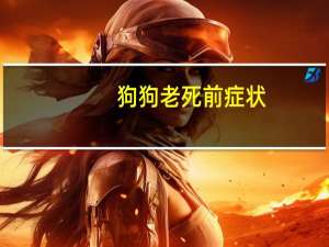 狗狗老死前症状