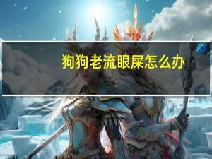 狗狗老流眼屎怎么办