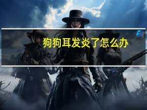狗狗耳发炎了怎么办
