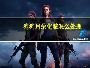 狗狗耳朵化脓怎么处理