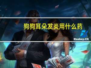 狗狗耳朵发炎用什么药