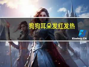 狗狗耳朵发红发热